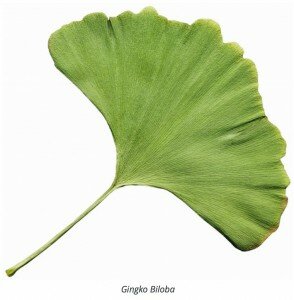 alternate health wellness